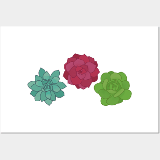 Succulent Flower Set Posters and Art